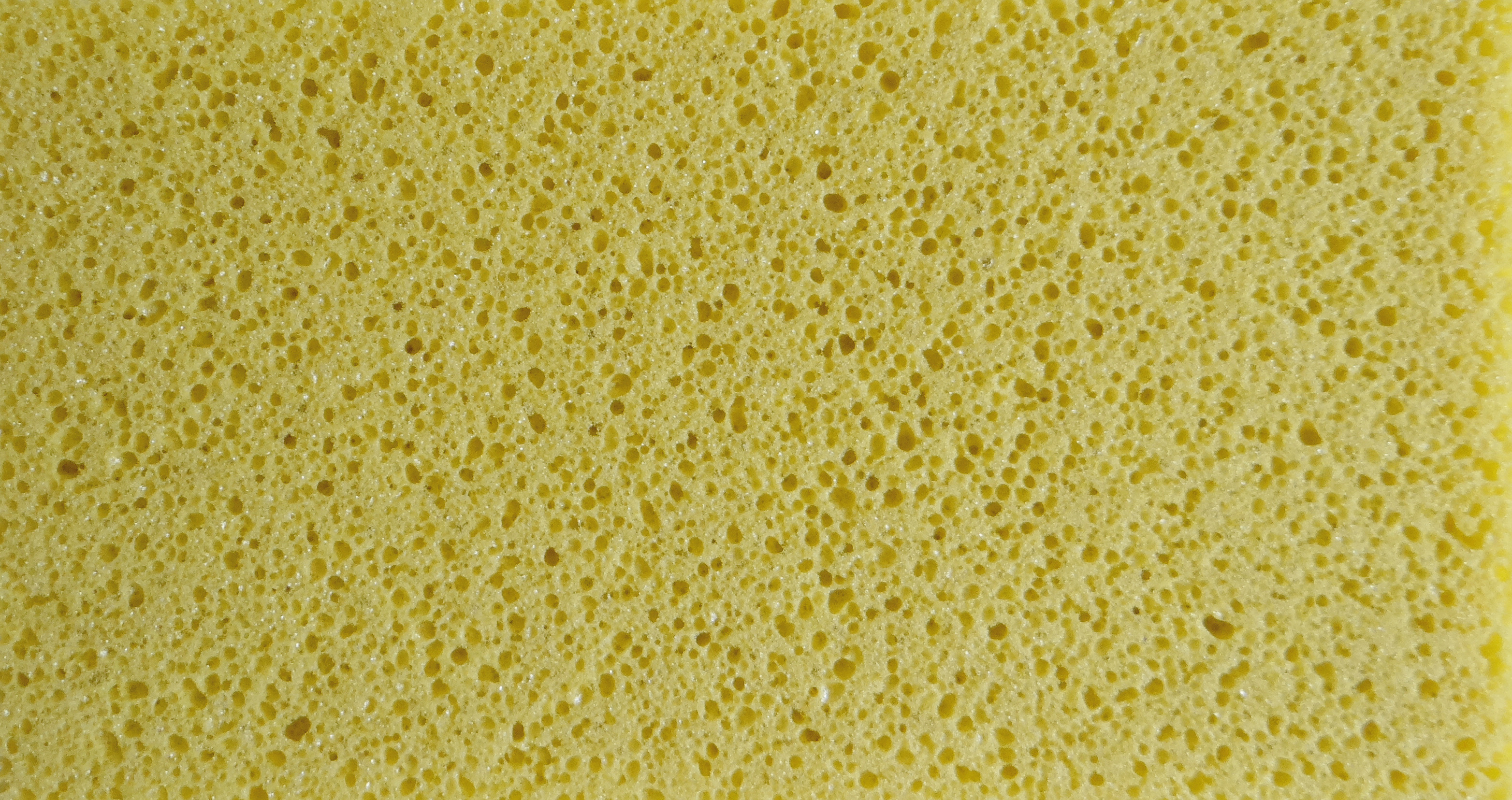 WOODEN FLOAT, FOAM SOLE