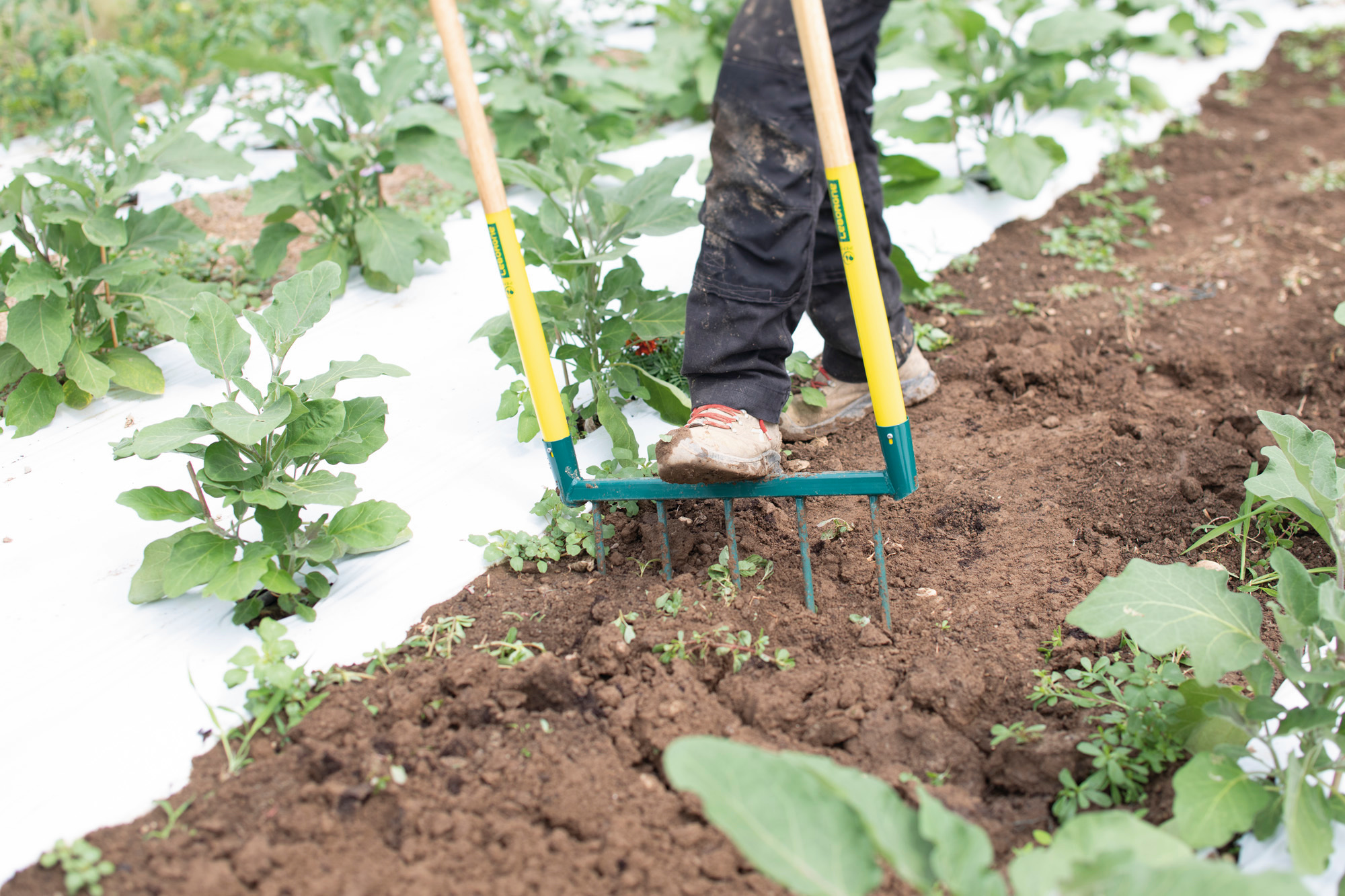 Cultivator Biogrif NaturOvert cu 5 dinti - dinti sudati