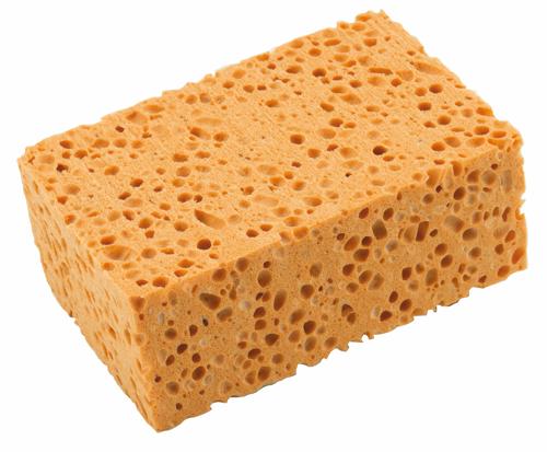 Sponges