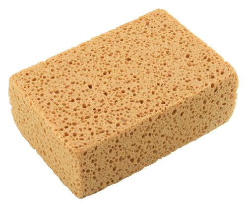 Sponges
