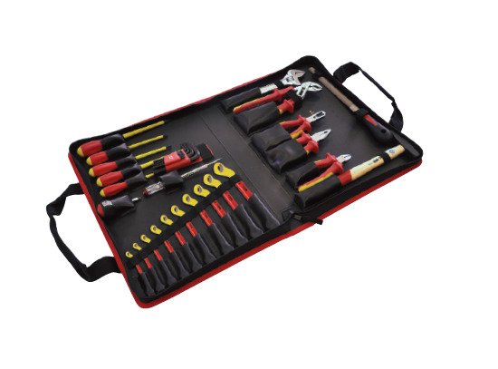 Trusa pentru electrician TSE 2C VDE-1000V